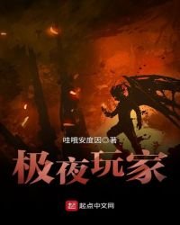 極夜玩家
